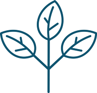 icon-6.png__PID:9667b016-f35d-4fee-b8f3-475adc50b04b